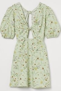 H&M Wildflower Linen Dress